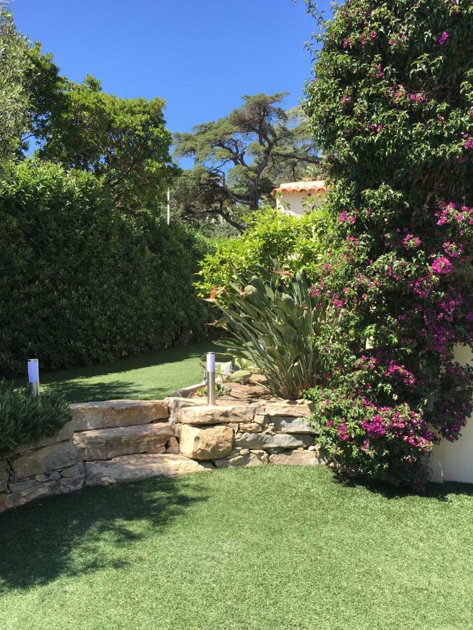 Sainte Maxime Appartement 1 Piece 外观 照片